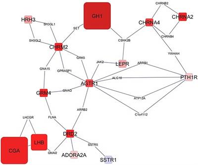 Lasting and Sex-Dependent Impact of Maternal Immune Activation on Molecular Pathways of the Amygdala